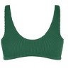 Women's Plus Size Avalon Bikini Top - green | CITY CHIC - 3 of 4