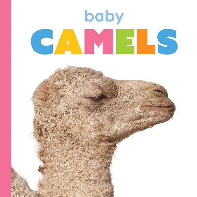 Baby Camels - (Starting Out) by  Kim Thompson (Paperback)