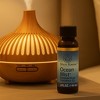 Di'Aroma Ocean Breeze Fragrance Oil – Premium Ocean Mist Aromatherapy Scent for Diffuser, Burner & Potpourri, 2 Fl oz Hotel Essential Oil Scents - 3 of 3