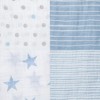 aden + anais essentials Muslin Swaddle Blankets - 4pk - image 3 of 3