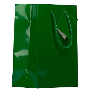 JAM PAPER Glossy Gift Bags with Rope Handles - Medium - 8 x 10 - Green - 3 Bags/Pack - 1 of 2