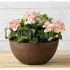 Novelty Indoor/Outdoor Artstone Napa Bowl Planter with Water-Minder - 2 of 4