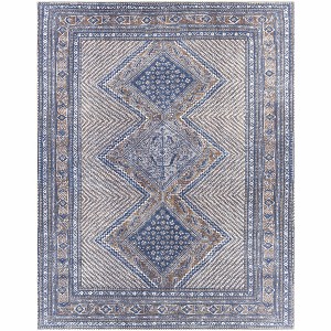 Hauteloom Brynamman Washable Area Rug - 1 of 4