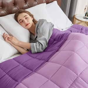 Inhand Weighted Blanket (48"x72") - Cooling Heavy Blanket with Glass Beads - All-Season Breathable Soft Comfort Microfiber Blanket - 1 of 4