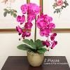 Floral Home 33.5" Fuchsia Phalaenopsis with 9 Flowers - 2-Piece - 3 of 4