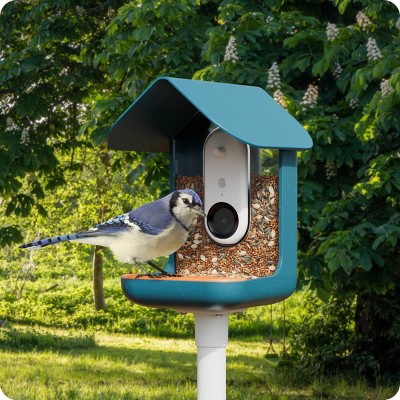 Bird Buddy Outdoor Bird Feeder Kit 9&#34; - Blue_8