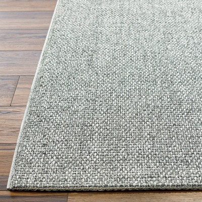 Birdie Gray Synthetic Rectangular Indoor/Outdoor Area Rug 3'10" x 5'7"
