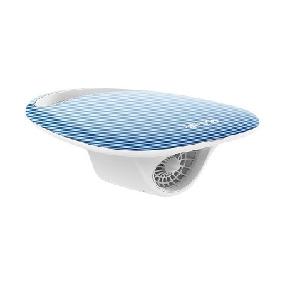 Jetson Reef Electric Motorized Kickboard - Blue