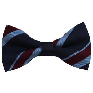 Men's Stripe Color 2.75 W And 4.75 L Inch Pre-Tied adjustable Bow Ties - 1 of 3