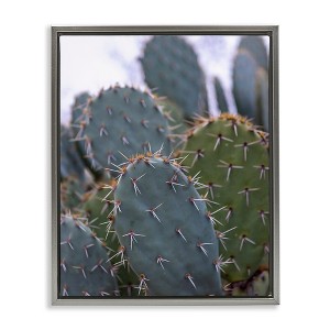 Stupell Industries Prickly Cactus Thorns Close Up Photography Desert Vegetation Floating Frame Canvas Art, Gray, 25" x 31" - 1 of 4