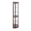 Lyngins American Design Glass Display Cabinet with 2 Side-Hung Doors, Lighted Corner Curio Cabinet with Adjustable Shelves, Accent Storage Cabinet - 4 of 4