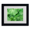 Trademark Fine Art -Kathie McCurdy 'Water Droplets' Matted Framed Art - 3 of 3