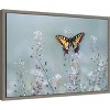 Amanti Art Swallowtail beauty (butterfly) by Petar Sabol Canvas Wall Art Print Framed 23-in. x 16-in. - 3 of 4
