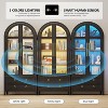 Fredees 71-inch arched glass-door storage cabinet with LED lights. - 4 of 4