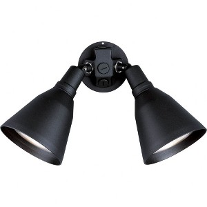 Progress Lighting Par 2-Light Outdoor Wall Light in Black Porcelain with Shade - 1 of 2