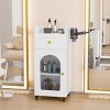 Karl Home Gray Wooden Mobile Salon Trolley Cart with Wheels and Glass Door and Dryer Holder - 2 of 4