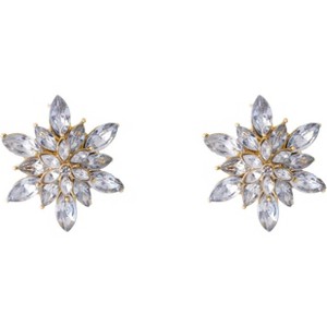 Crystal Flower Burst Stud Earrings for Women Rhinestone Floral Cluster Zircon Blooming Earrings Wedding Party Jewelry Accessories - 1 of 4