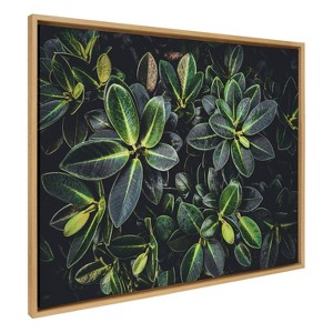 Kate & Laurel All Things Decor 31.5"x41.5" Sylvie Botanical Greenery Plant Wall Framed Wall Art: Contemporary Home Office Decor - 1 of 4