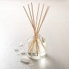 11.83 fl oz Salt Oil Reed Diffuser - Hearth & Hand™ with Magnolia: Tropical Aroma, Natural Reeds, Glass Bottle - image 2 of 3