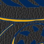west virginia mountaineers