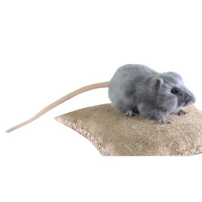 hansa white german mouse