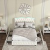 Full Size Bed Frame And Headboard With Storage 4 Drawers,Velvet Fabric Bed With Tufted Buttons And Nailhead Trim,Rgb Led Lights-Cuddlewood - 2 of 4