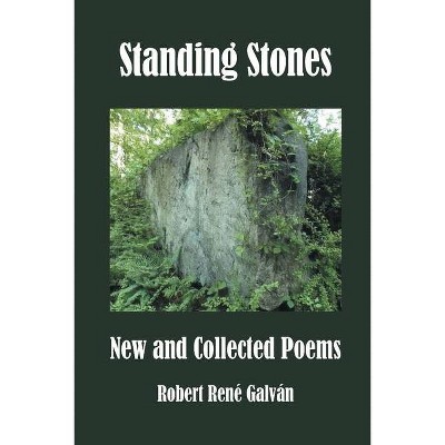 Standing Stones - by  Robert Galván (Paperback)