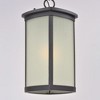 Maxim Lighting Terrace 1 - Light Pendant in  Bronze - 2 of 4