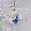 Dried Flower Oval Clear Butterfly Pendant Necklace Women Ginger Lyne Collection - 2 of 4