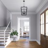 Millennium Lighting 6 - Light Pendant in  Matte Black - 2 of 4