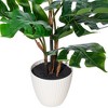 Vickerman Green Monstera Collection - 3 of 4