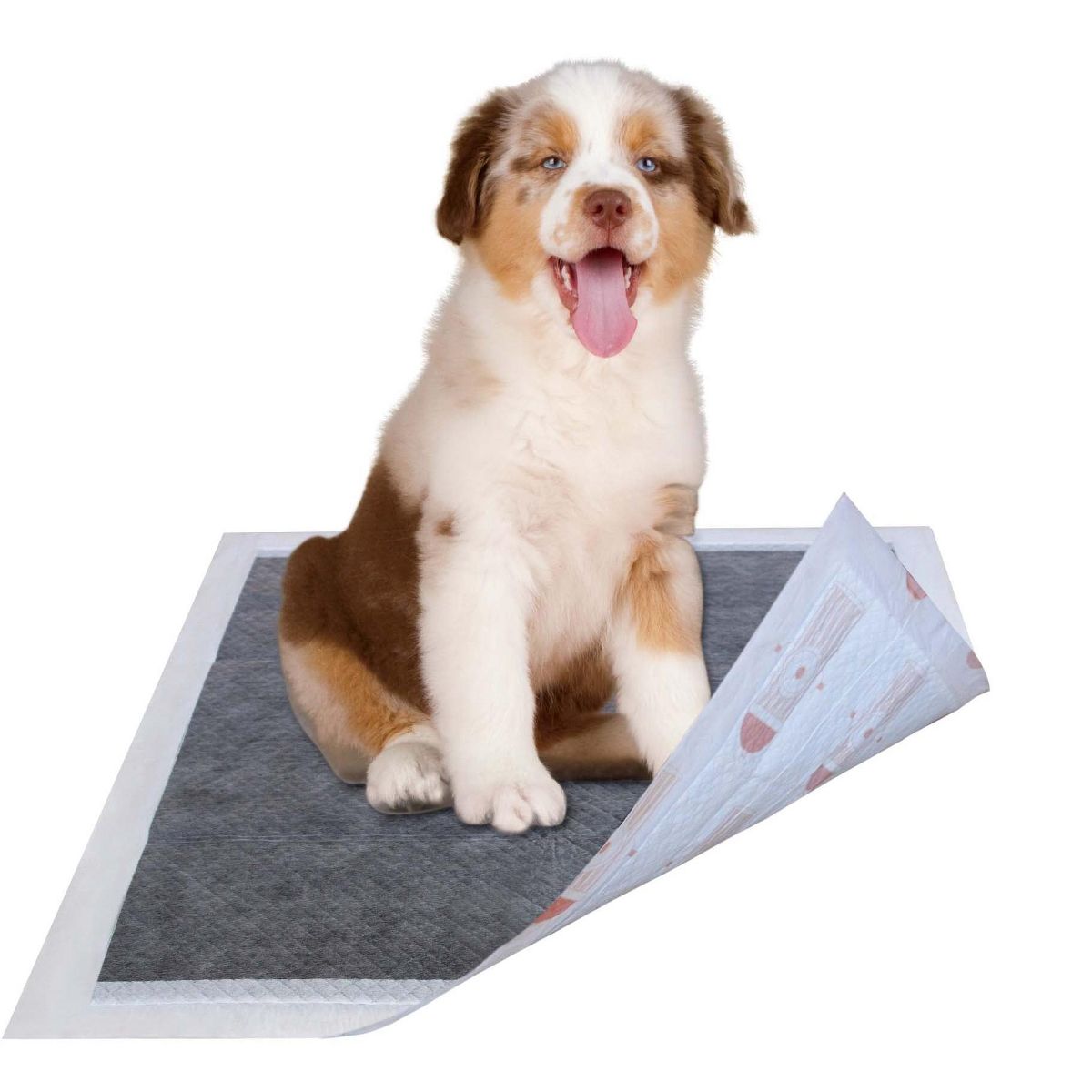 Pet Life 55 Gram Ultra Absorbent Charcoal Odor Eliminating Premium Dog Training Pads, 50 PCS