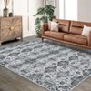 Coolmee Washable Area Rugs Stain Boho Geometric Resistant Rugs for Living Room Bedroom Dining Room Vintage Floral RugColorful - 4 of 4
