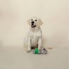 PetShop by Fringe Studio Shake Your Palm Palms Dog Toy - 3 of 3