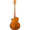 Luna Vista Bear Tropical Wood Acoustic-Electric Bass Gloss Natural - 4 of 4