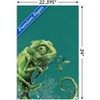 Trends International Snowtap - Chameleon Photobomb Unframed Wall Poster Prints - 3 of 4
