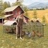Jojoka Safe and Spacious Chicken Coop, Easy Setup for Hens, Ducks, and Rabbits - 3 of 4