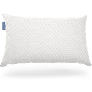 Aghana Digitals Rayon Bamboo Shredded Memory Foam Pillow, Adjustable, Queen Size - 1 of 4