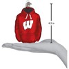 Old World Christmas 60803 Glass Blown Wisconsin Hoodie Ornament - 3 of 3