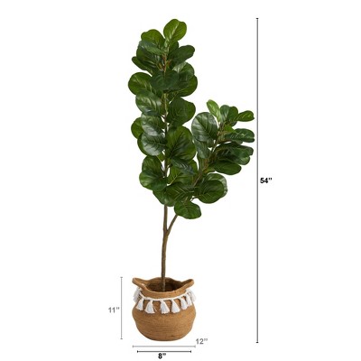 Boho Chic 4.5ft Fiddle Leaf Fig in Handwoven Cotton Planter