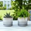 Stone Ceramic Saucer Planters for Modern Indoor Home Decor, Set of 2 - 3 of 4