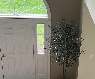 Guest review image 1 of 2, zoom in