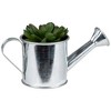 Northlight 4" Echeveria Succulent in Watering Can Artificial Potted Plant - Green/Silver - 4 of 4