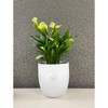 Tierra Garden 6.3" White Ceramic Boston Indoor Pot - 4 of 4