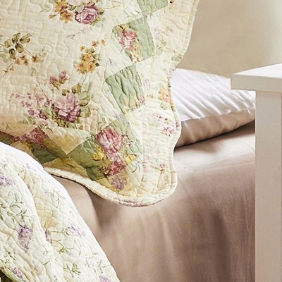 Bliss Ivory and Sage Cotton King Pillow Sham