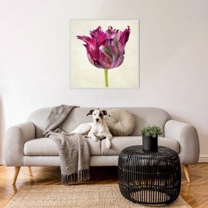 Amanti Art Single Parrot Tulip II by Dianne Poinski Framed Wall Art Print - 1 of 4