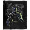 Batman Villains Unleashed Silky 50X60 Blanket, 1 Sided - 2 of 4