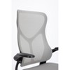 DOMETOUR Ergonomic Computer Chair Mesh Backrest Office Chair with Flip-up Armrests Lumbar Support Backrest for Home Office - 4 of 4
