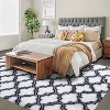 Fluffy Runner Rug, Soft Plush Non-Slip Hallway Carpet for Bedroom Living Room Kids Girls Boys Dorm, Shag Furry Non-Shedding Floor Decor - 3 of 4