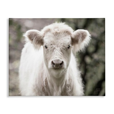 Stupell Industries White Cow Calf Portrait Canvas Wall Art